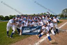 Baseball vs Babson  Wheaton College Baseball players celebrate their victory over Babson to win the NEWMAC Championship for the third year in a row. - (Photo by Keith Nordstrom) : Wheaton, baseball, NEWMAC